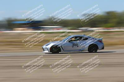 media/Oct-04-2025-OnGrid (Sat) [[44bd565ffa]]/Green Group/Grapevine/